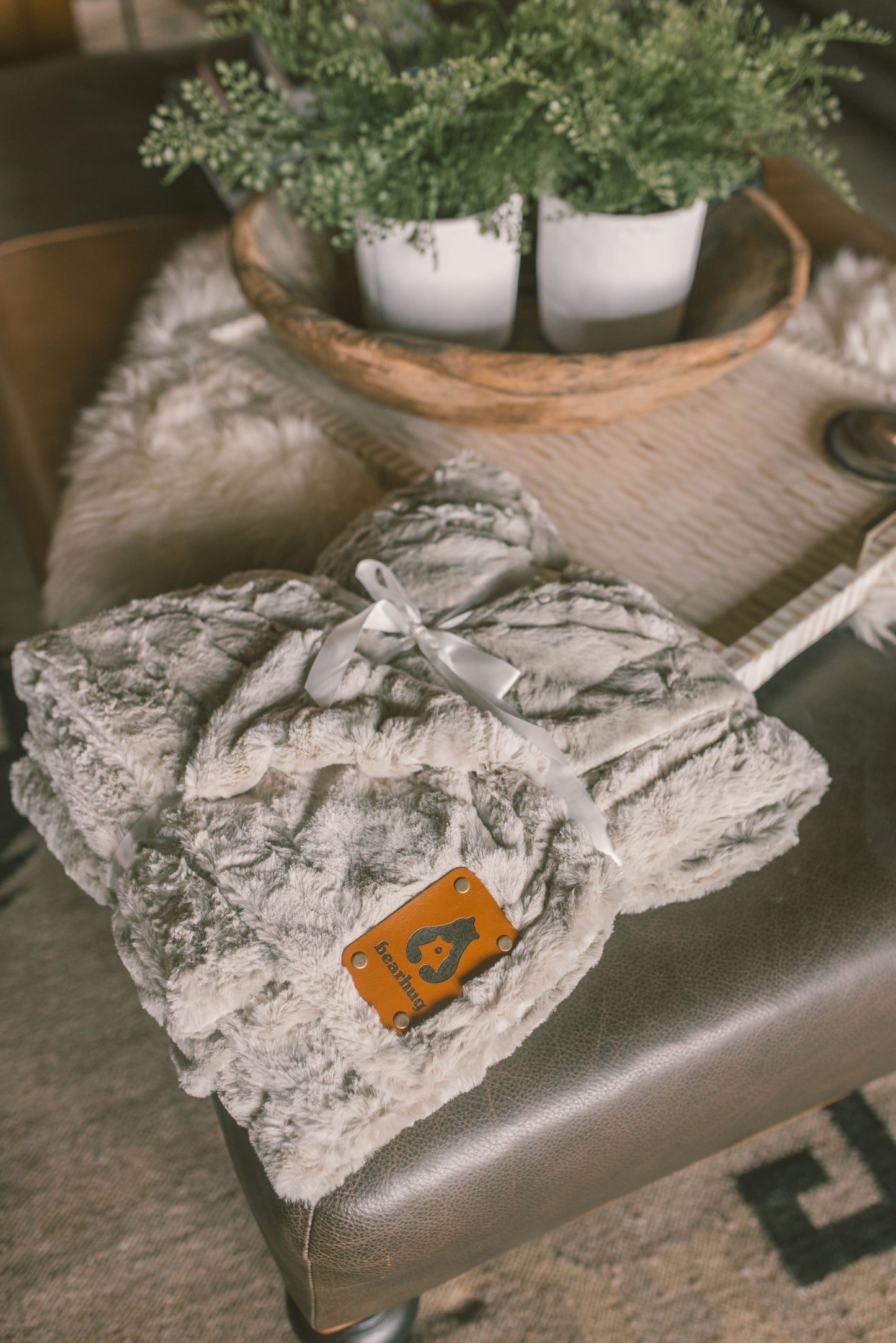 Cozy Gray